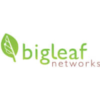 Bigleaf-networks-2